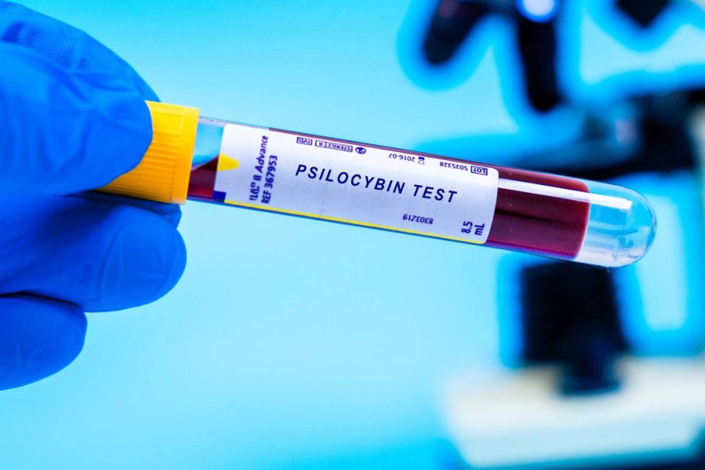 A blood sample is taken to test for traces of psilocybin