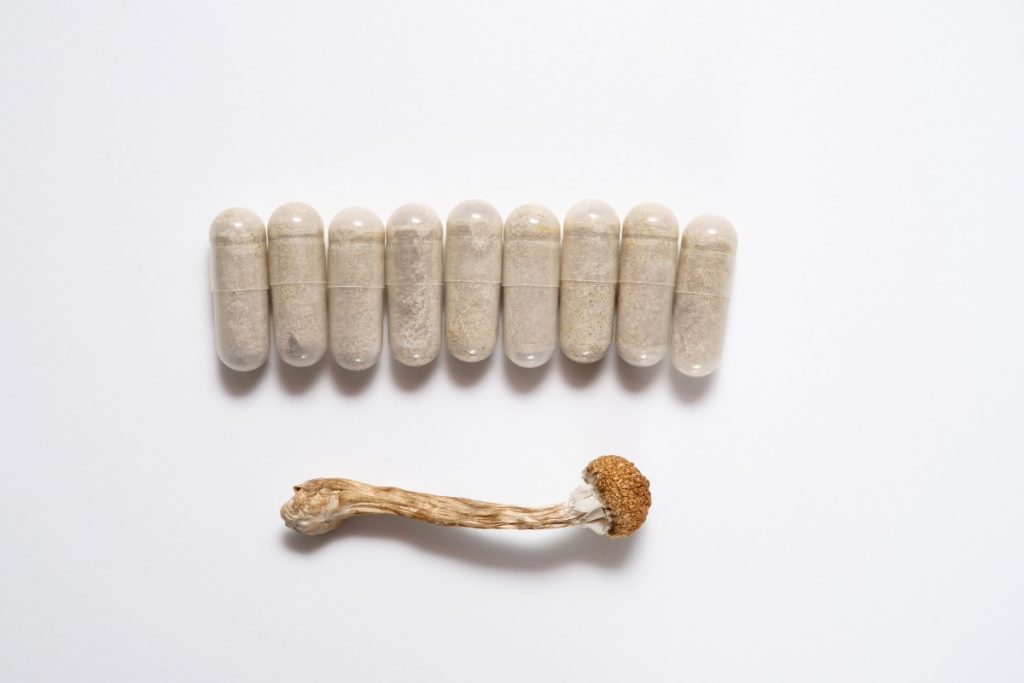 A collection of capsules made from psilocybin mushroom