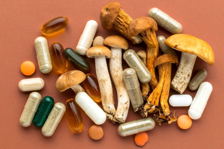 A collection of different mushroom supplements is kept together