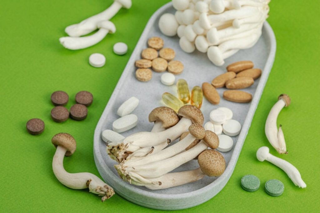 A collection of different mushroom supplements shown in the image