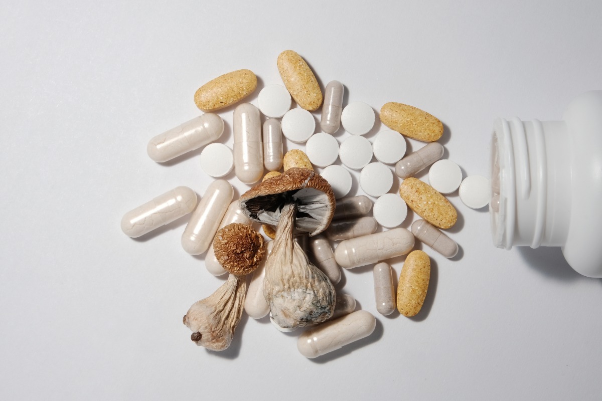 A collection of different mushroom‑infused supplements