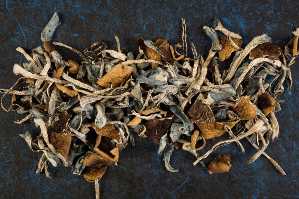 A collection of dried mushroom that helps in anxiety and depression