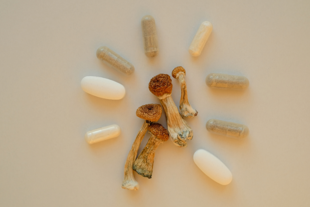 A collection of functional mushroom's tablets and capsules kept with each other