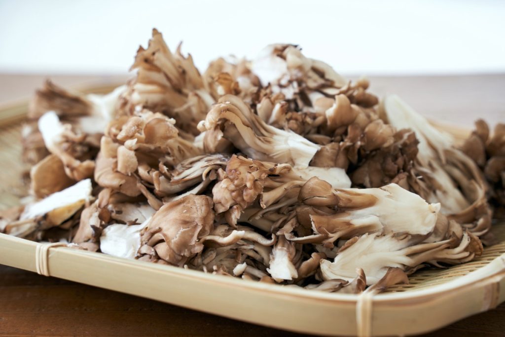 A collection of maitake mushroom