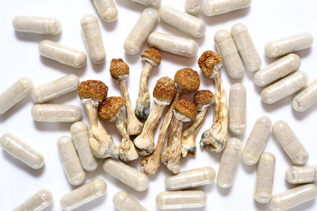 A collection of mushrooms and the capsules made from them