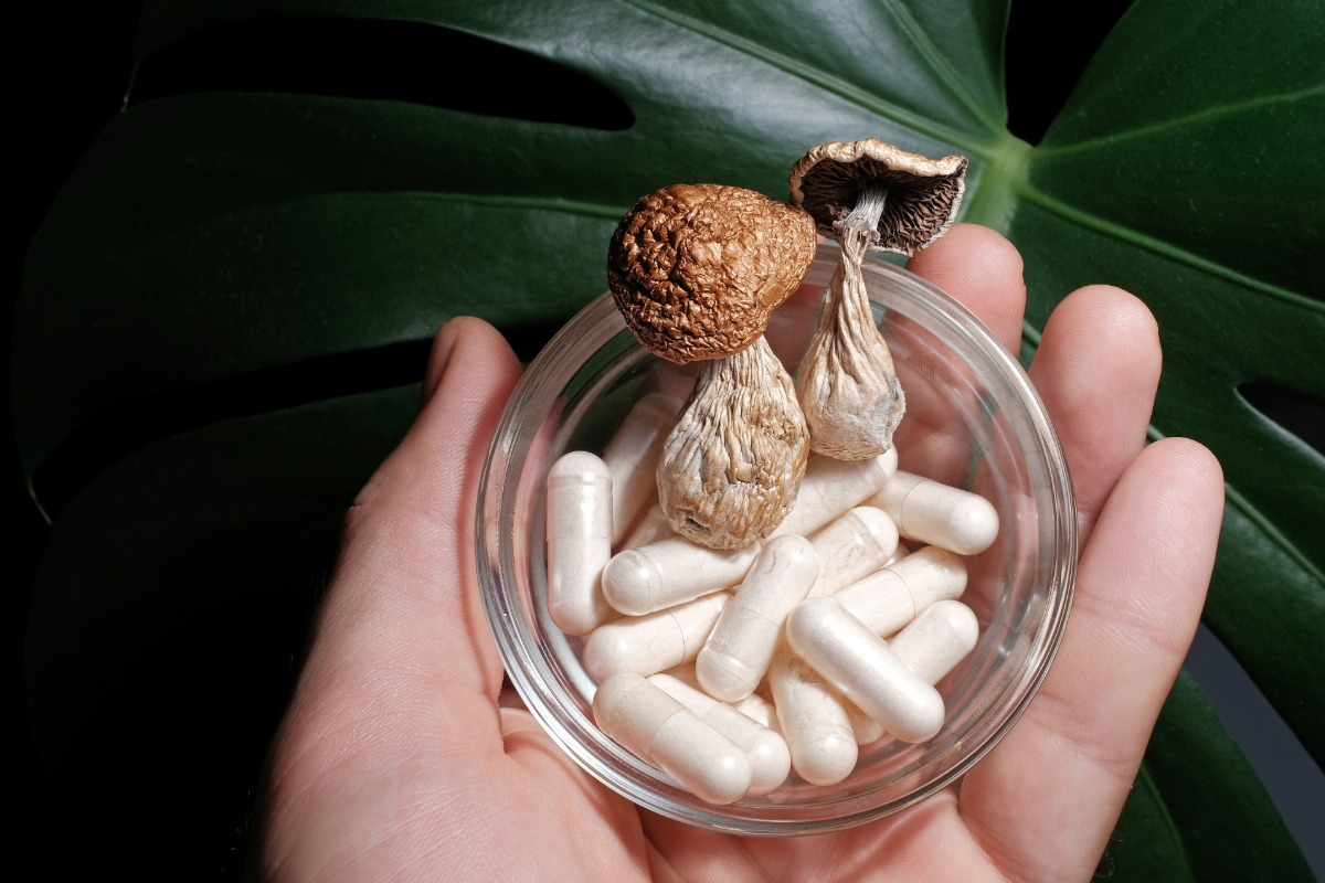 A person holds a jar of mushroom capsules with mushrooms placed above it