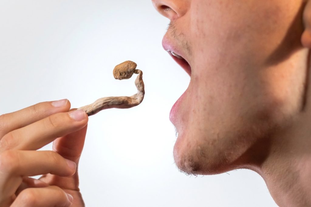 A person is eating a psilocybin mushroom on an empty stomach