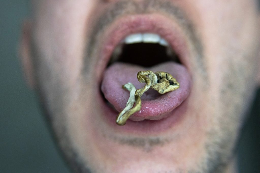 A person is eating dried magic mushroom