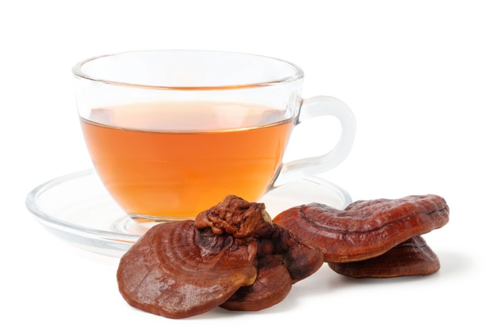 A steaming cup of Reishi mushroom tea