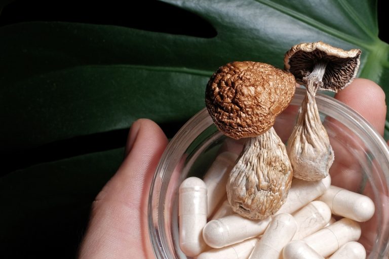 Best mushrooms for Focus in a bowl