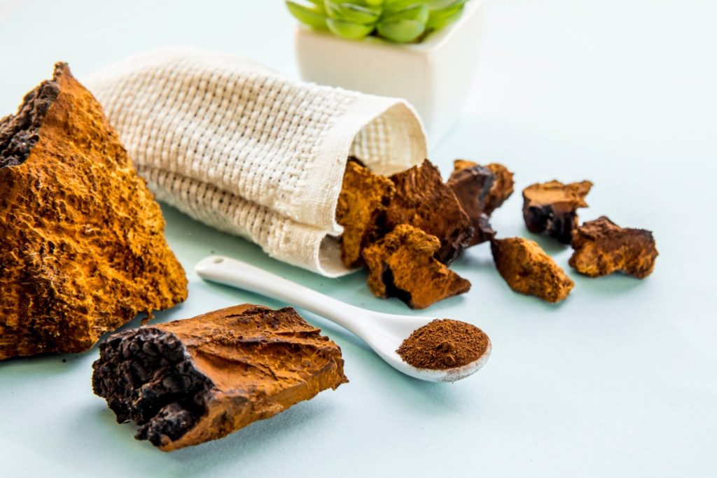 Chaga mushroom parts and their powder are shown in the image