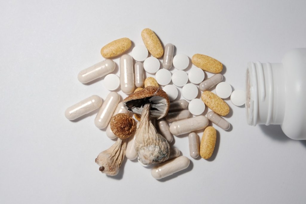 Different types of Mushroom supplements for therapeutic use