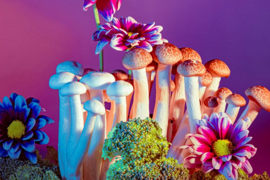 High quality shrooms