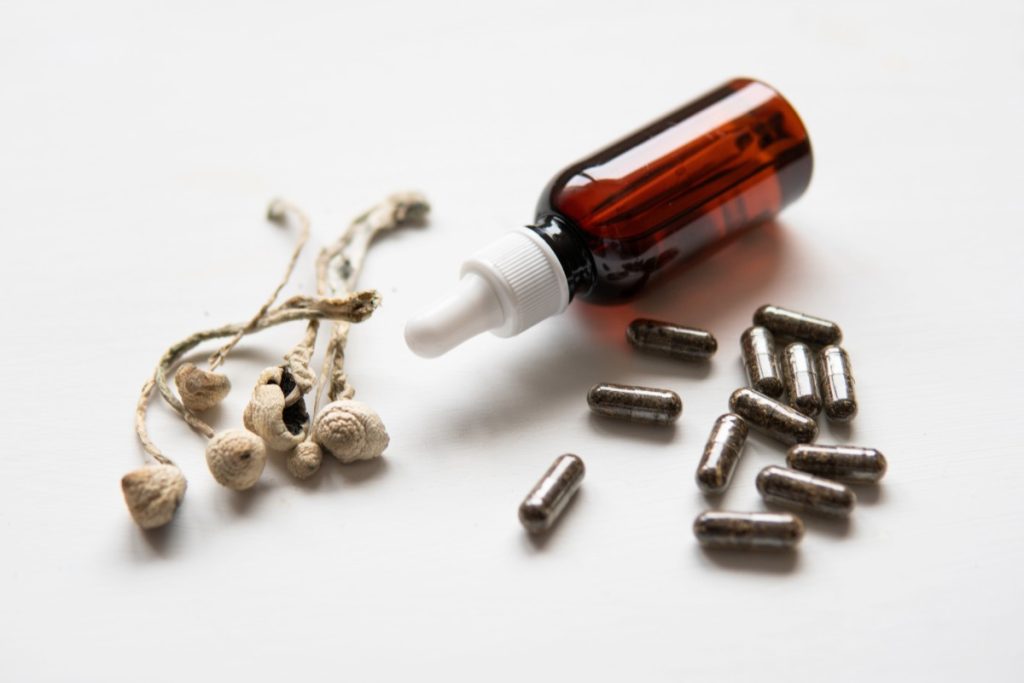 Psilocybin mushroom shown with capsules and a bottle of extracted oil