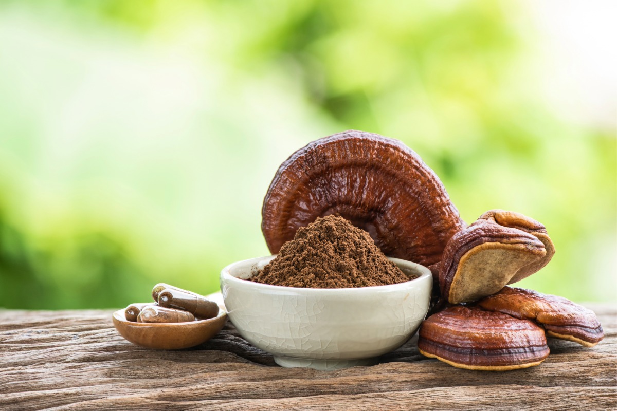 Reishi Mushroom And its supplements kept with each other
