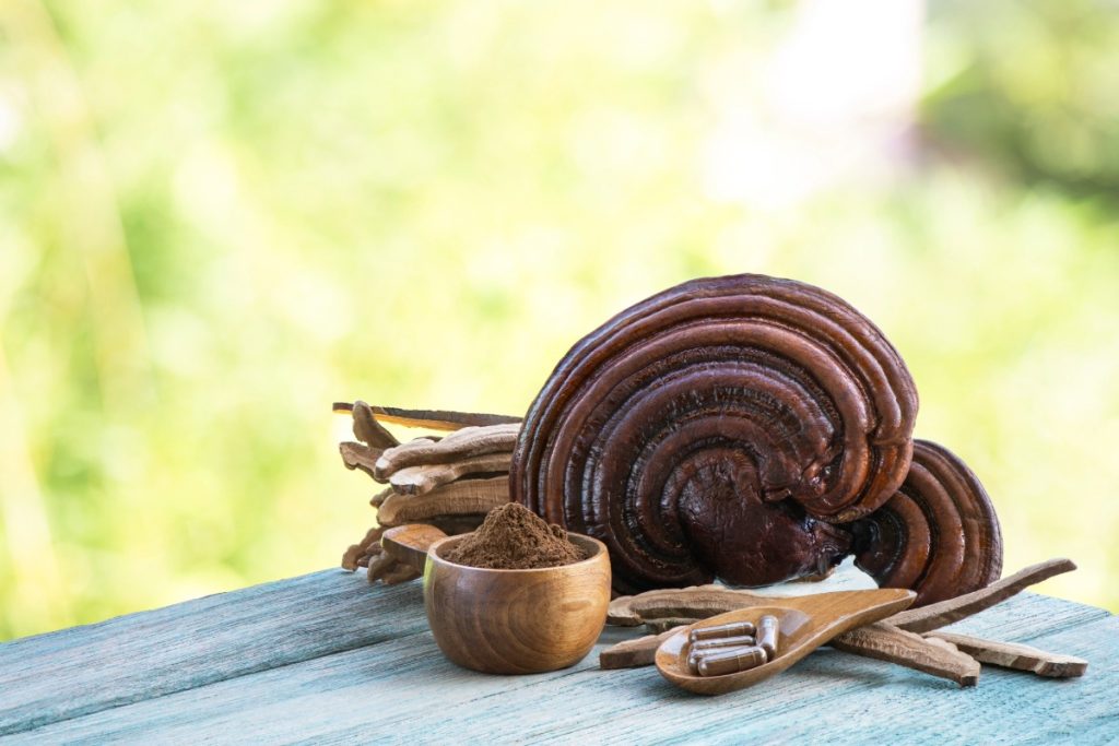 Reishi mushroom supplements kept with each other
